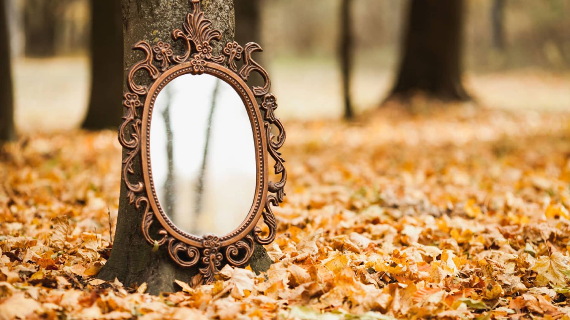 This image for Image Layouts addon